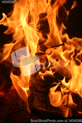 Image of Burning fire close-up
