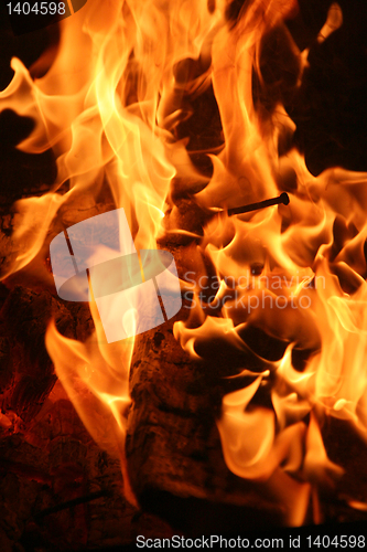 Image of Burning fire close-up