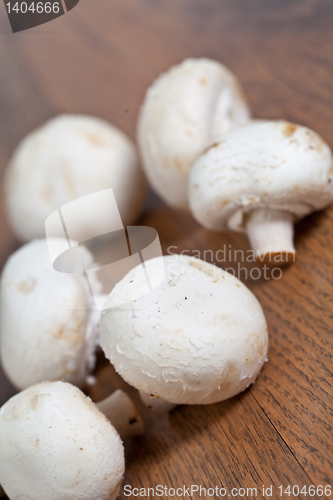 Image of Mushrooms