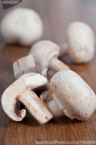 Image of Mushrooms