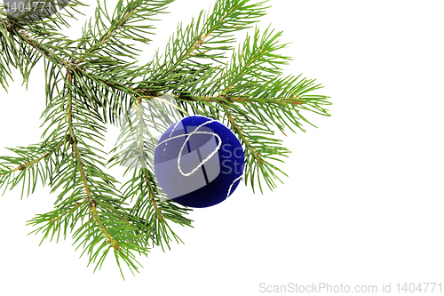 Image of Christmas branch fur-tree with boll 