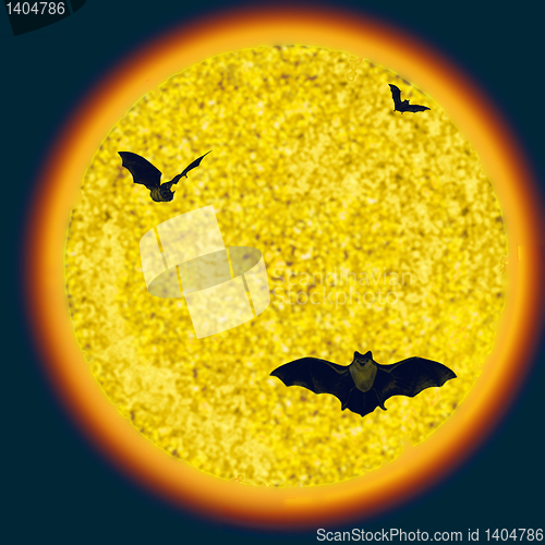 Image of halloween  scene with bat