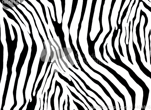 Image of  zebra as  pattern