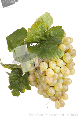 Image of white  grape, isolated