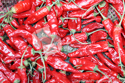 Image of Hot peppers