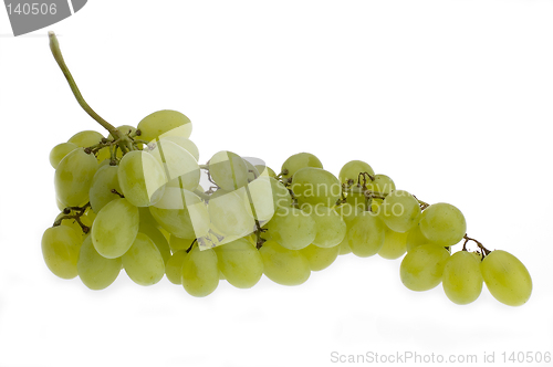 Image of grapes1