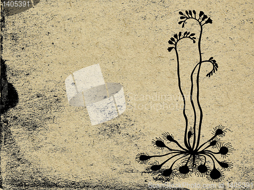 Image of grunge background