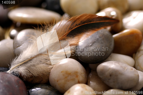 Image of Feather and rocks