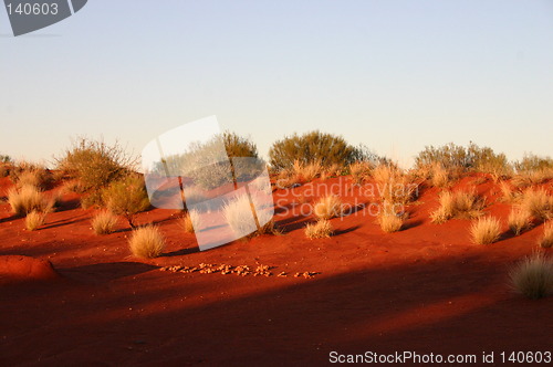 Image of outback