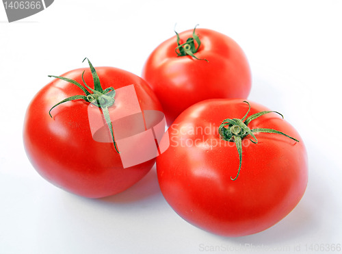 Image of no caption