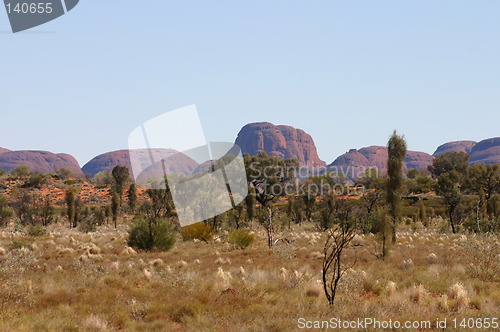 Image of the olgas