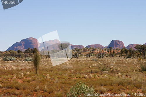 Image of the olgas