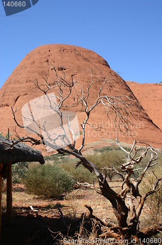 Image of the olgas