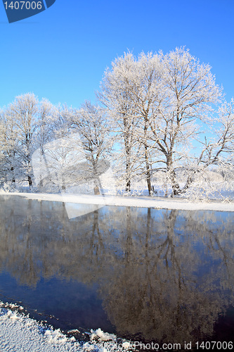 Image of oak wood on coast river