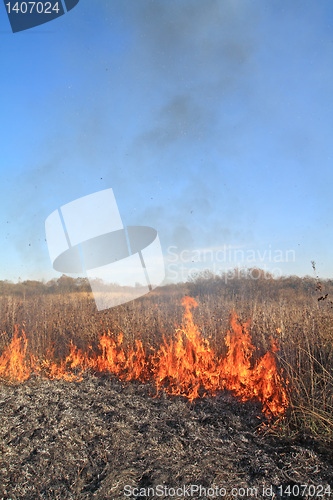 Image of fire in dry herb