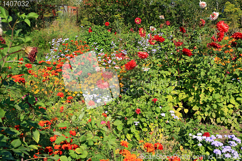 Image of flowerses near rural building