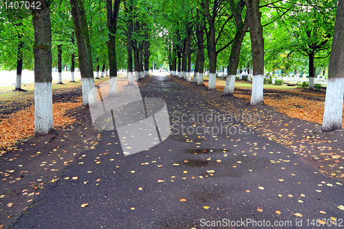 Image of wet track in autumn park
