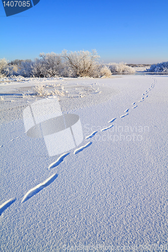 Image of human trace on crystalline snow