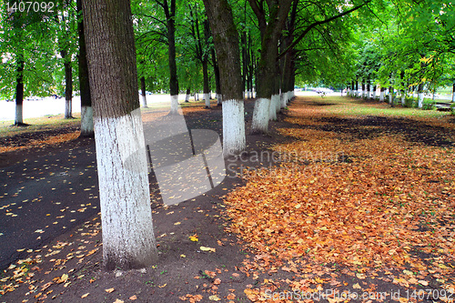 Image of yellow sheet in autumn park