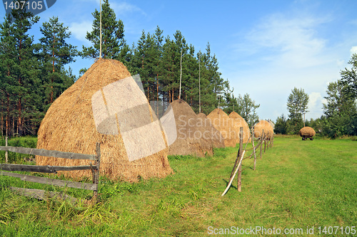 Image of stack hay near pine wood