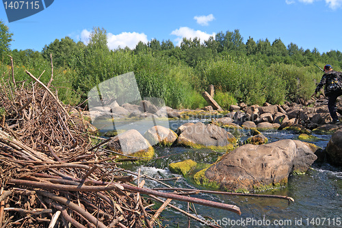 Image of quick river flow amongst stone