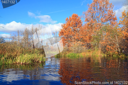 Image of autumn wood on coast river