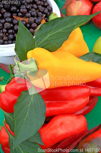 Image of autumn still life on green table