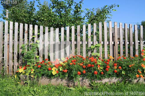 Image of flowerses near old rural fence