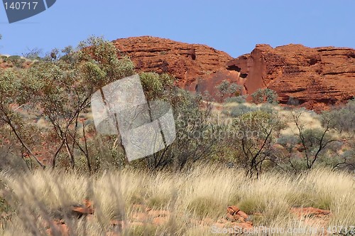 Image of kings canyon