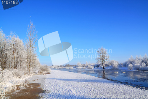 Image of snow bushes on coast river