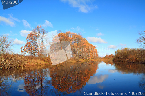 Image of oak wood on coast river