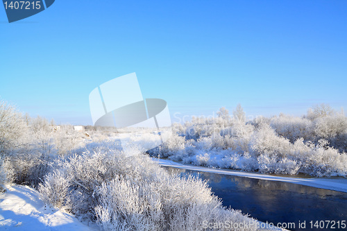 Image of snow tree on coast river 