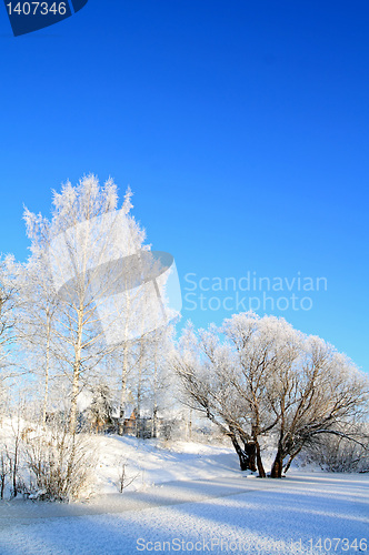 Image of small village on coast river 