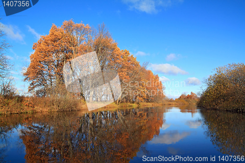 Image of oak wood on coast river