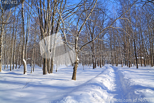 Image of snow lane in winter park