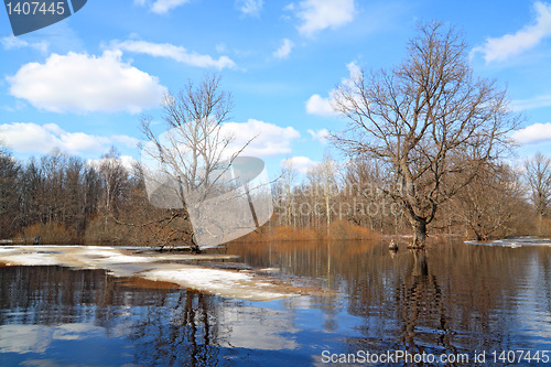 Image of autumn ice on small river