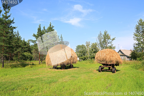 Image of stack hay near pine wood 