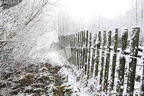 Image of old fence in snow