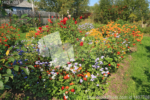 Image of flowerses near rural building