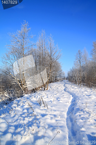 Image of wet lane in winter park 