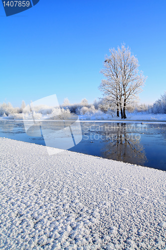 Image of crystalline ice on coast river