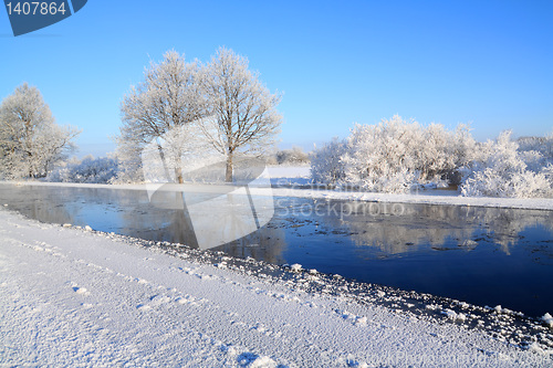 Image of oak wood on coast river