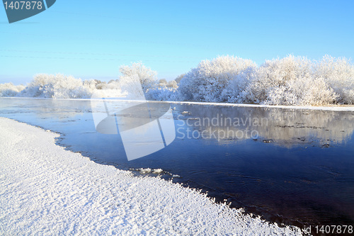 Image of snow bushes on coast river