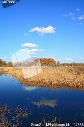 Image of small river on autumn field 
