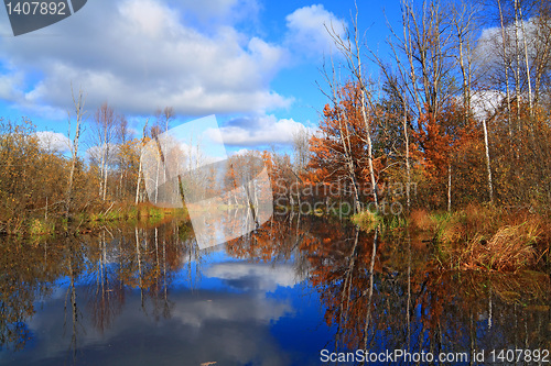 Image of autumn wood on coast river