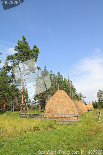 Image of stack hay near pine wood