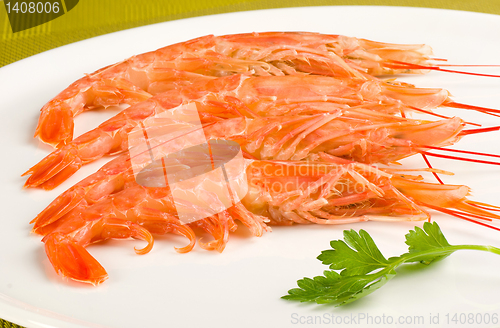 Image of King prawns