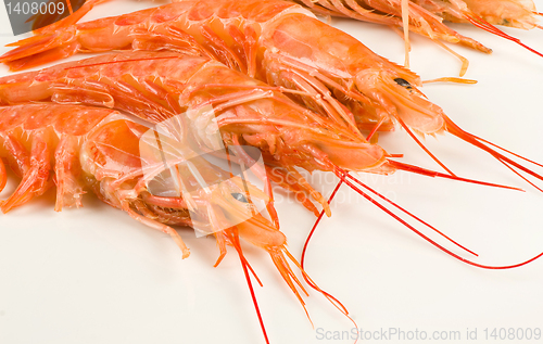 Image of King prawns