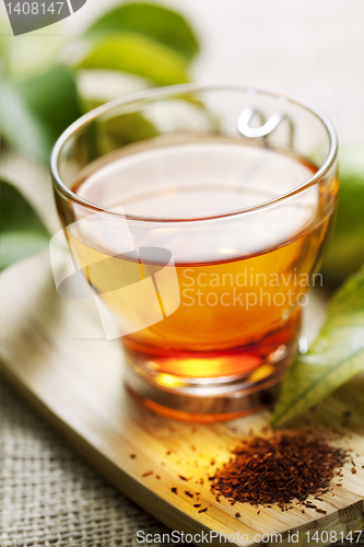 Image of rooibos tea