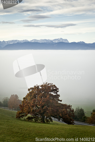 Image of autumn scenery